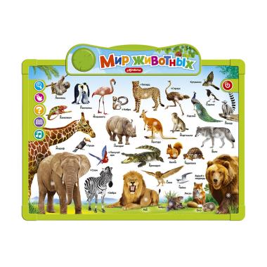 Мир животных